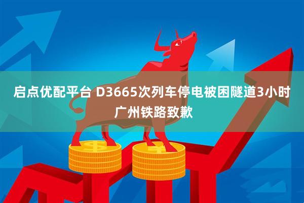 启点优配平台 D3665次列车停电被困隧道3小时 广州铁路致歉