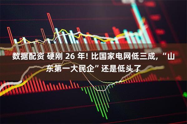 数据配资 硬刚 26 年! 比国家电网低三成, “山东第一大民企”还是低头了